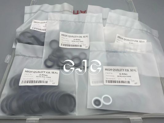 C0170-31004 ZAX 70 υψηλή αντίσταση θερμοκρασίας αντίστασης πετρελαίου εξαρτήσεων σφραγίδων βαλβίδων ελέγχου